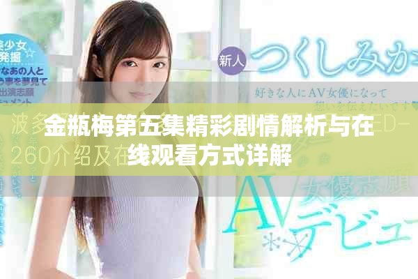 金瓶梅第五集精彩剧情解析与在线观看方式详解