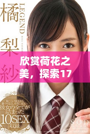 欣赏荷花之美，探索1777年文化底蕴与意义
