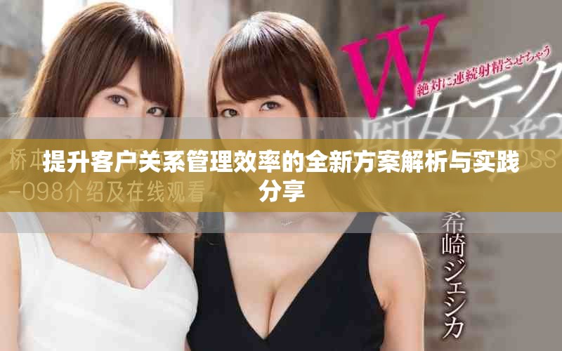 提升客户关系管理效率的全新方案解析与实践分享