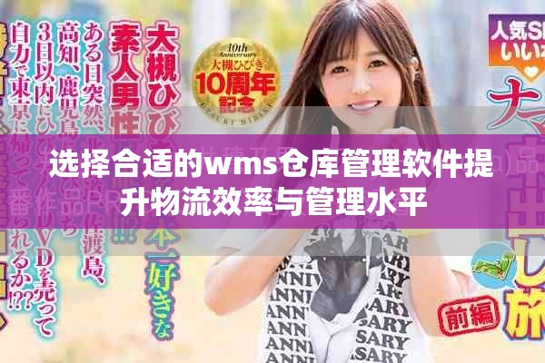选择合适的wms仓库管理软件提升物流效率与管理水平