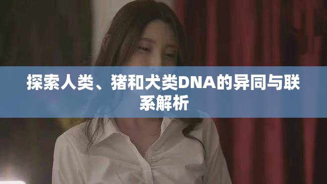 探索人类、猪和犬类DNA的异同与联系解析