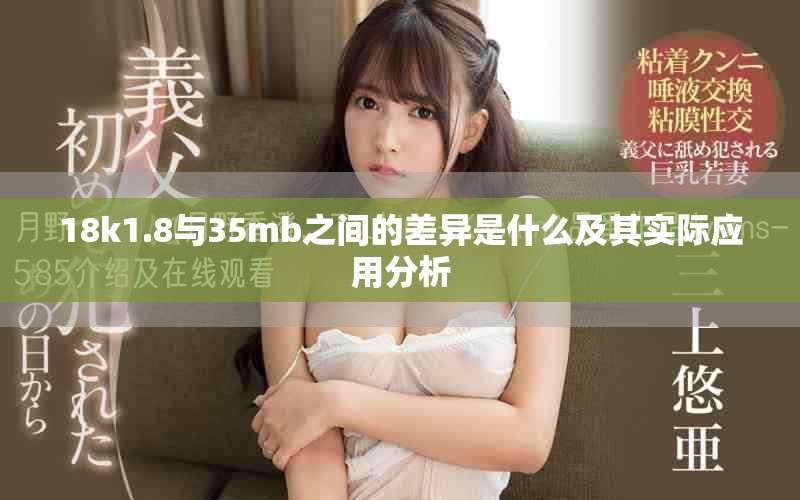 18k1.8与35mb之间的差异是什么及其实际应用分析