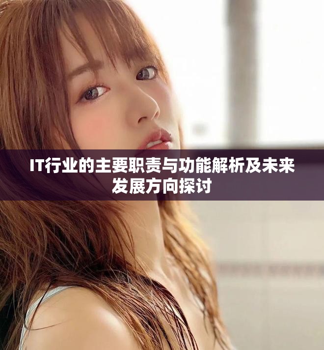 IT行业的主要职责与功能解析及未来发展方向探讨