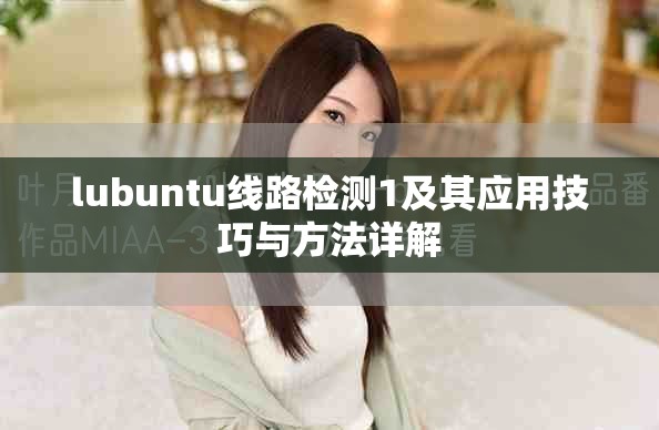 lubuntu线路检测1及其应用技巧与方法详解