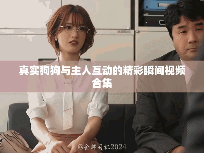 真实狗狗与主人互动的精彩瞬间视频合集