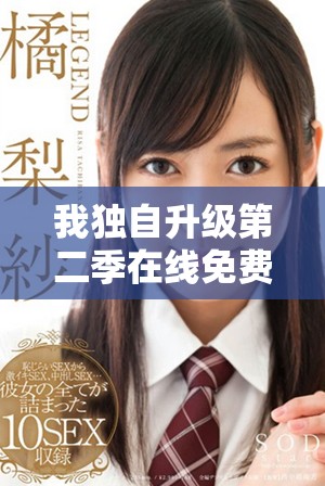 我独自升级第二季在线免费观看的方法与途径大揭秘