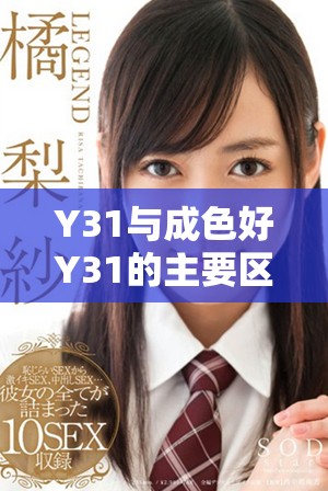 Y31与成色好Y31的主要区别分析与性能对比探讨