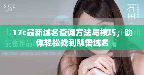 17c最新域名查询方法与技巧，助你轻松找到所需域名