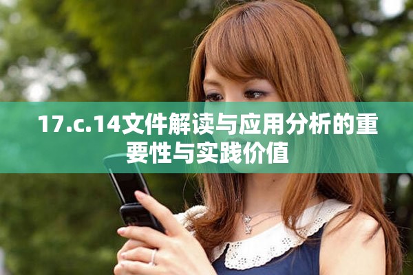 17.c.14文件解读与应用分析的重要性与实践价值
