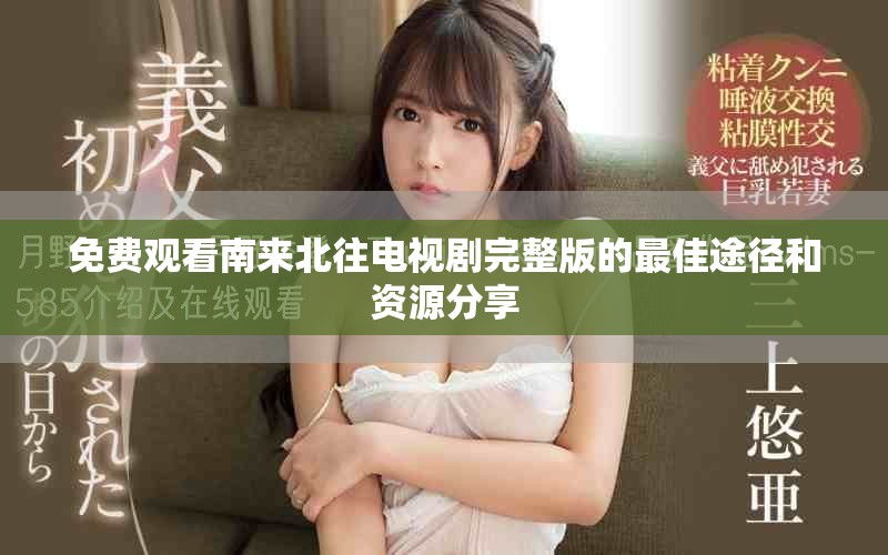 免费观看南来北往电视剧完整版的最佳途径和资源分享
