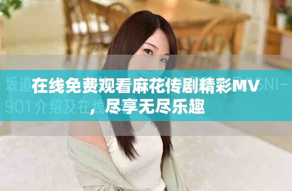 在线免费观看麻花传剧精彩MV，尽享无尽乐趣