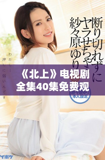 《北上》电视剧全集40集免费观看精彩内容解析与推荐