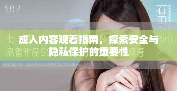 成人内容观看指南，探索安全与隐私保护的重要性
