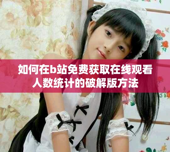 如何在b站免费获取在线观看人数统计的破解版方法