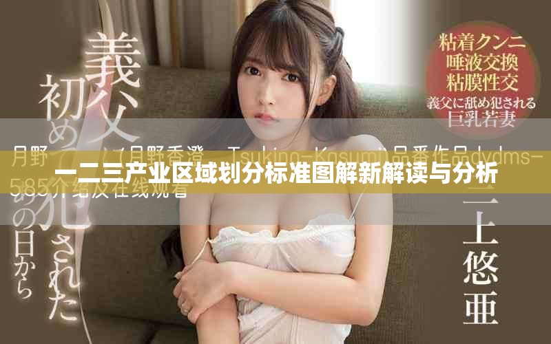 一二三产业区域划分标准图解新解读与分析
