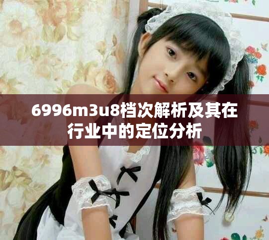 6996m3u8档次解析及其在行业中的定位分析