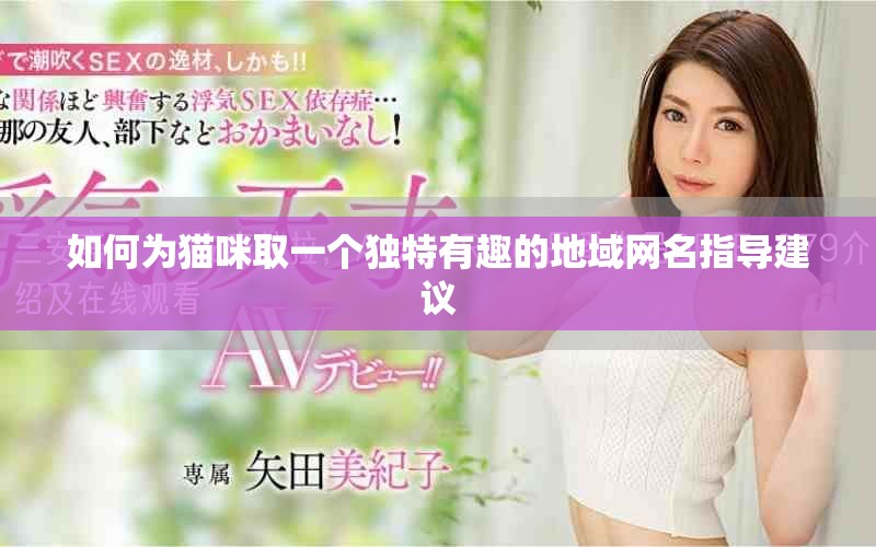 如何为猫咪取一个独特有趣的地域网名指导建议