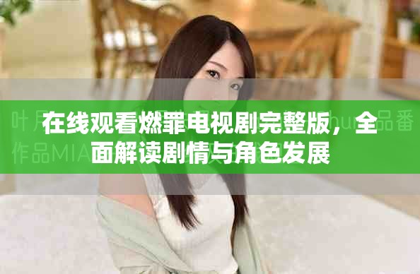 在线观看燃罪电视剧完整版，全面解读剧情与角色发展