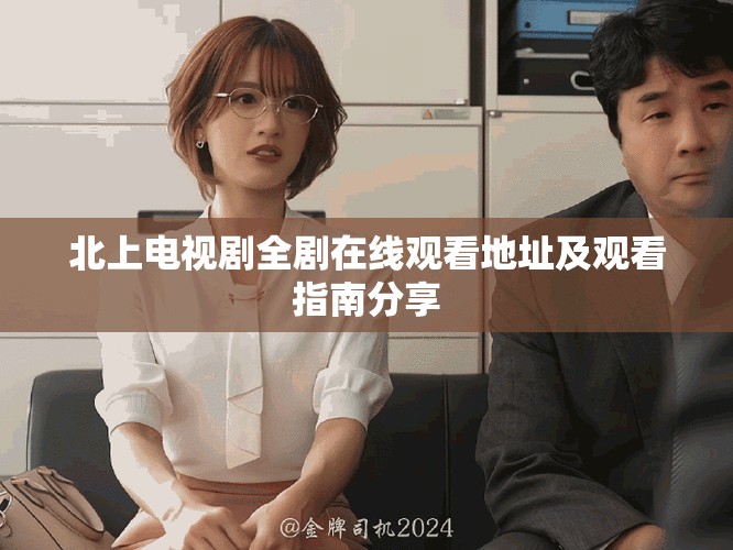 北上电视剧全剧在线观看地址及观看指南分享