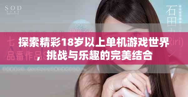 探索精彩18岁以上单机游戏世界，挑战与乐趣的完美结合
