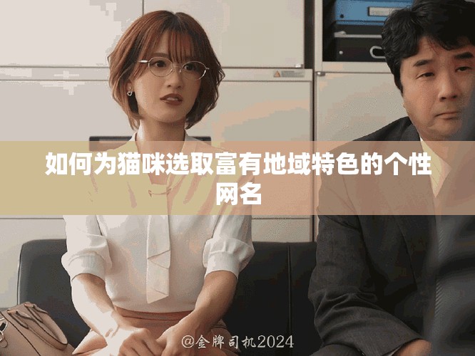如何为猫咪选取富有地域特色的个性网名