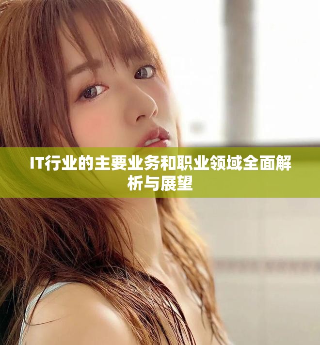 IT行业的主要业务和职业领域全面解析与展望