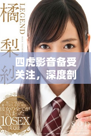 四虎影音备受关注，深度剖析其影响力与未来发展方向