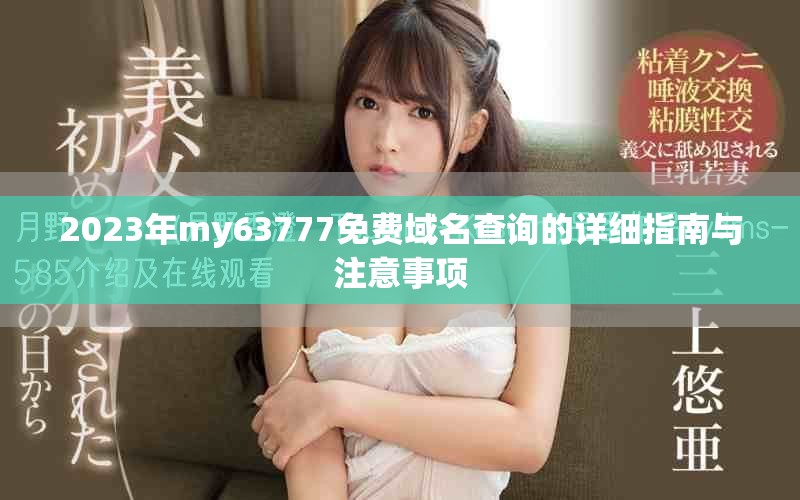 2023年my63777免费域名查询的详细指南与注意事项