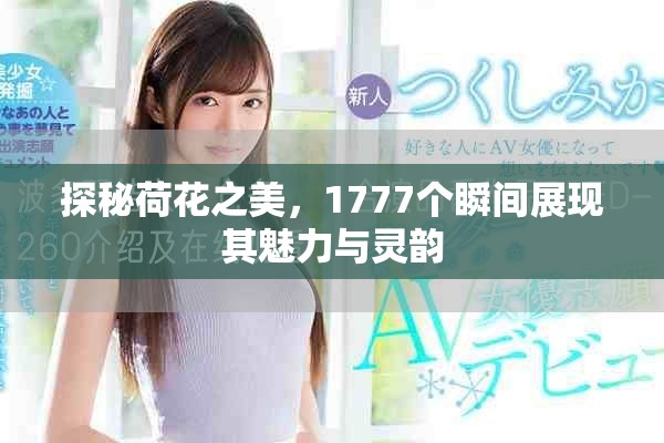 探秘荷花之美，1777个瞬间展现其魅力与灵韵