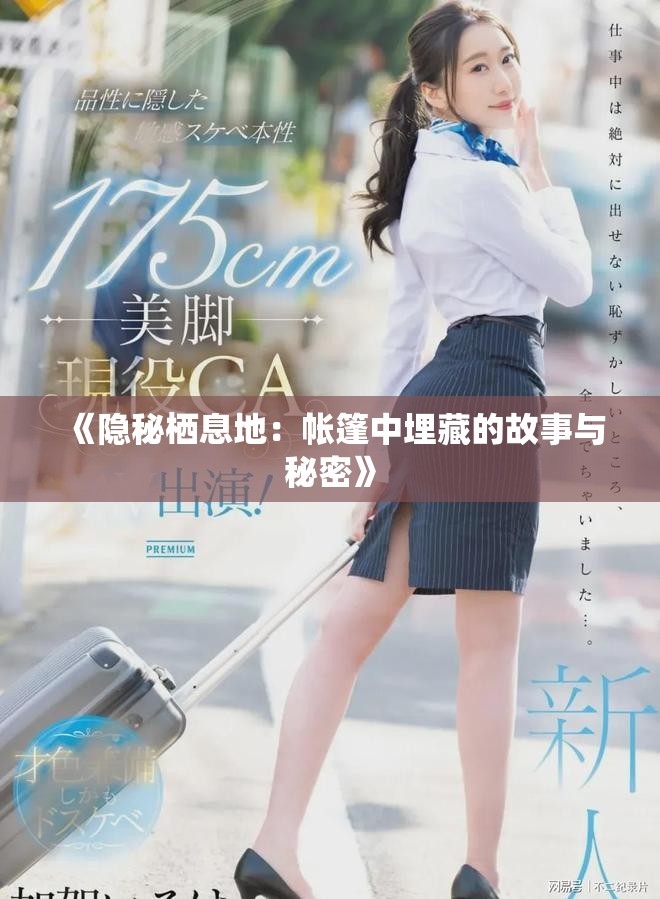 《隐秘栖息地：帐篷中埋藏的故事与秘密》
