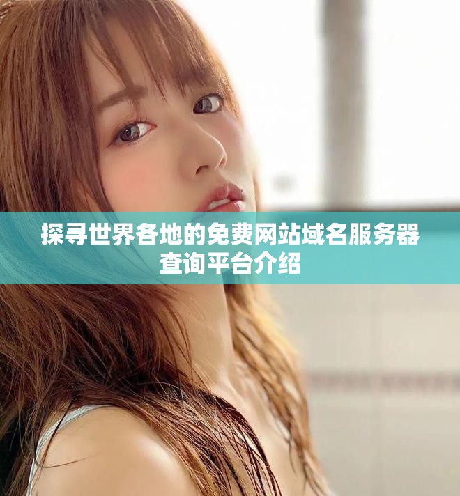 探寻世界各地的免费网站域名服务器查询平台介绍