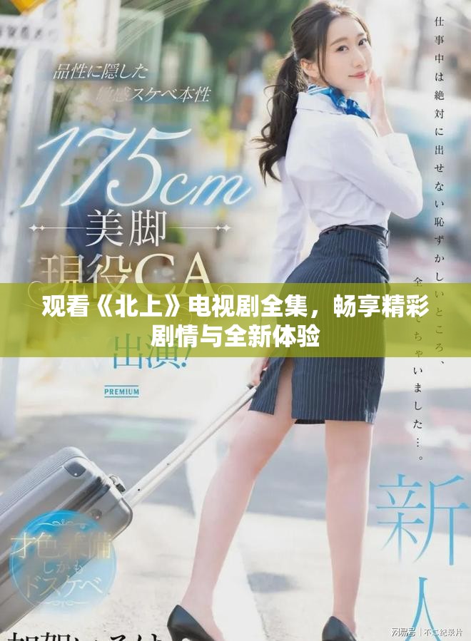观看《北上》电视剧全集，畅享精彩剧情与全新体验