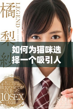 如何为猫咪选择一个吸引人的独特地域网名