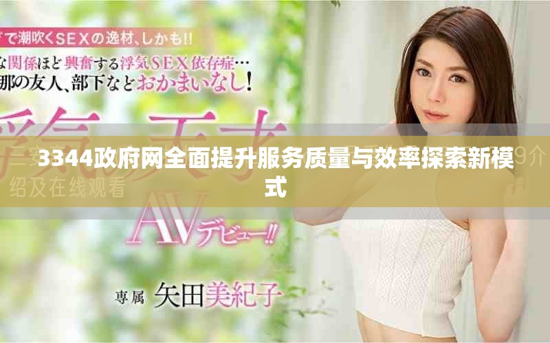3344政府网全面提升服务质量与效率探索新模式
