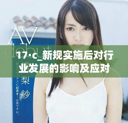 17·c_新规实施后对行业发展的影响及应对策略分析