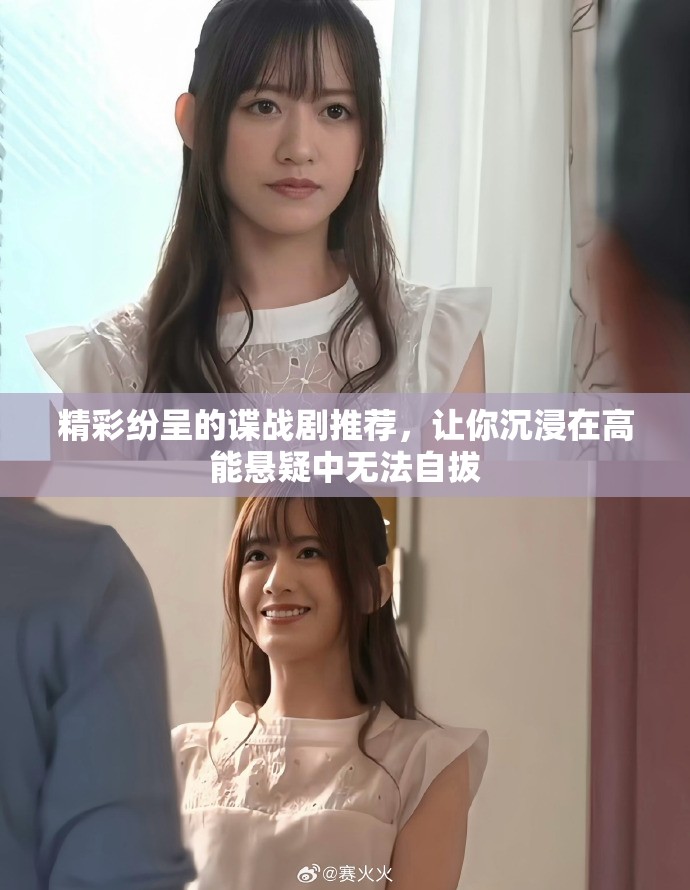 精彩纷呈的谍战剧推荐，让你沉浸在高能悬疑中无法自拔