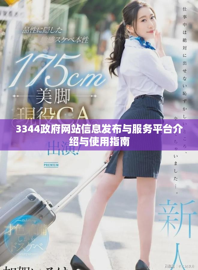 3344政府网站信息发布与服务平台介绍与使用指南