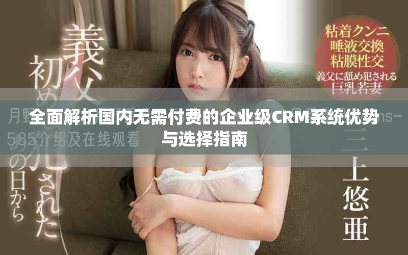 全面解析国内无需付费的企业级CRM系统优势与选择指南