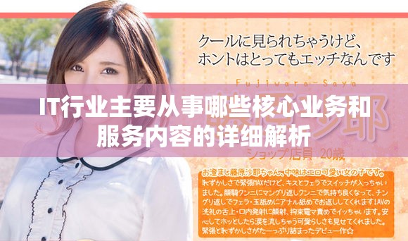 IT行业主要从事哪些核心业务和服务内容的详细解析