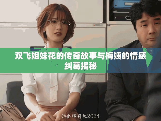 双飞姐妹花的传奇故事与梅姨的情感纠葛揭秘