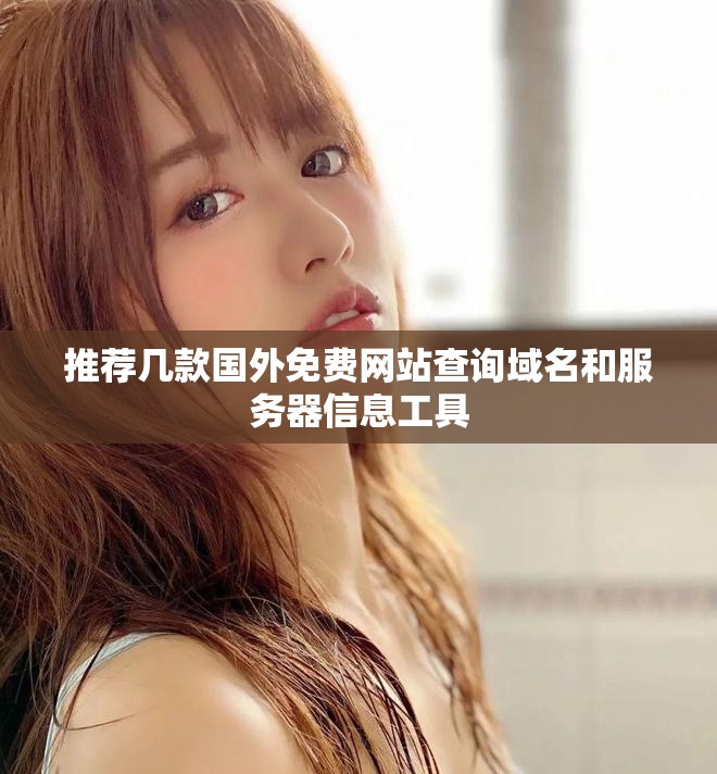 推荐几款国外免费网站查询域名和服务器信息工具