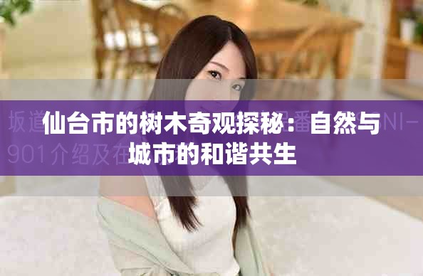 仙台市的树木奇观探秘：自然与城市的和谐共生