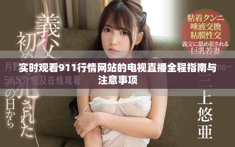 实时观看911行情网站的电视直播全程指南与注意事项