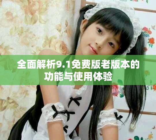 全面解析9.1免费版老版本的功能与使用体验
