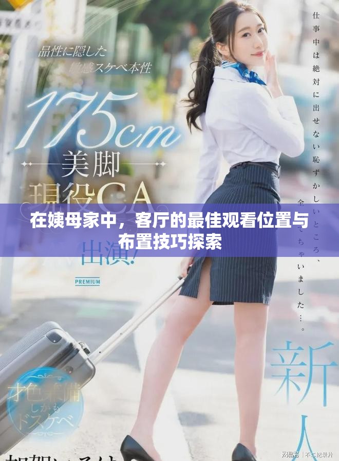 在姨母家中，客厅的最佳观看位置与布置技巧探索