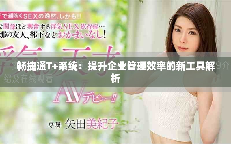 畅捷通T+系统：提升企业管理效率的新工具解析