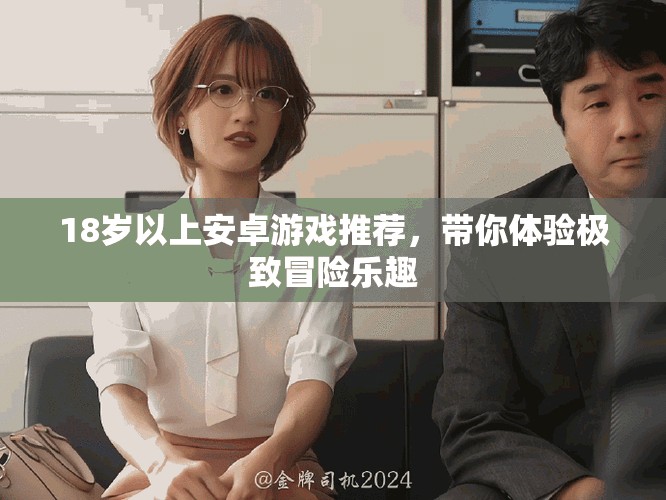 18岁以上安卓游戏推荐，带你体验极致冒险乐趣