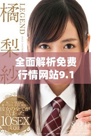 全面解析免费行情网站9.1版本更新新功能与用户体验优化
