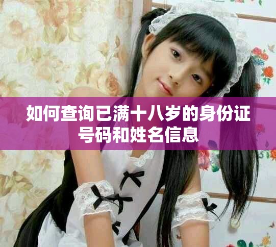 如何查询已满十八岁的身份证号码和姓名信息