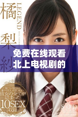 免费在线观看北上电视剧的全季资源指南与观看攻略
